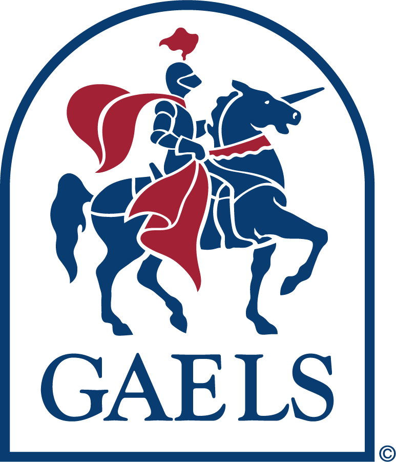 Saint Marys Gaels 1991-2000 Primary Logo t shirts iron on transfers